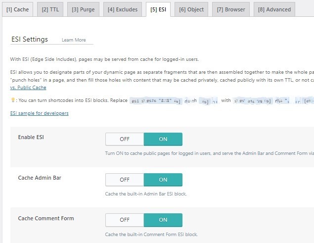 LiteSpeed Cache Configuration: A Complete 14 Steps Guide - DigiBiscuit